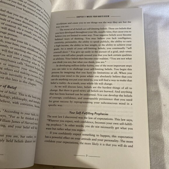 Million Dollar Habits: Proven Power Practices to Double and Triple Your Income - Picture 8 of 8